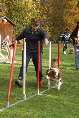agility 2011-10-30